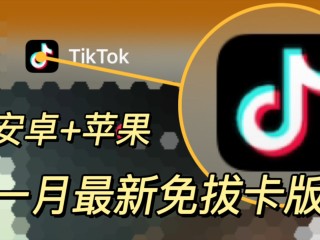 国际版抖音网页版入口(抖音国际版 tiktok网页版)