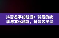 抖音名字的起源：背后的故事与文化意义，抖音名字是什么意思 