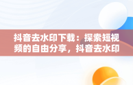 抖音去水印下载：探索短视频的自由分享，抖音去水印下载捷径库 