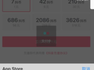 1元10抖币充值入口苹果,抖音充值入口苹果