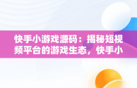 快手小游戏源码：揭秘短视频平台的游戏生态，快手小游戏源码是什么 