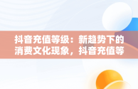 抖音充值等级：新趋势下的消费文化现象，抖音充值等级价格对照表 