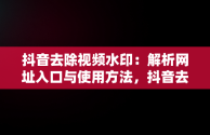 抖音去除视频水印：解析网址入口与使用方法，抖音去去水印解析 