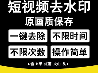短视频去水印破解版下载,短视频去水印破解版