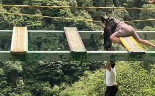 网红桥坠落事故(网红桥落水曝光视频)