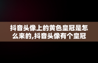 抖音头像上的黄色皇冠是怎么来的,抖音头像有个皇冠是什么意思