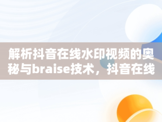 解析抖音在线水印视频的奥秘与braise技术，抖音在线水印视频解析免费 