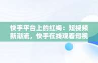 快手平台上的红梅：短视频新潮流，快手在线观看短视频 