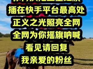 快手网页版登录入口官网(快手网页版登陆入口)