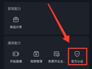 抖音创作服务平台视频管理怎么看数据,抖音创作服务平台视频管理