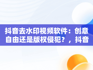 抖音去水印视频软件：创意自由还是版权侵犯？，抖音去水印视频软件哪个好 