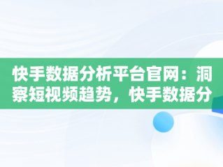 快手数据分析平台官网：洞察短视频趋势，快手数据分析平台官网入口 