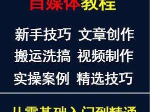 短视频制作教程多少钱一套,短视频制作教程多少钱
