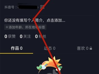 抖音网页版入口抖音,抖音网页版 _signature