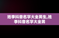 姓李抖音名字大全男生,姓李抖音名字大全男