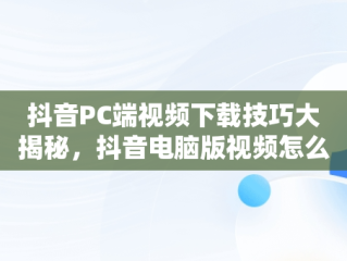 抖音PC端视频下载技巧大揭秘，抖音电脑版视频怎么下载 