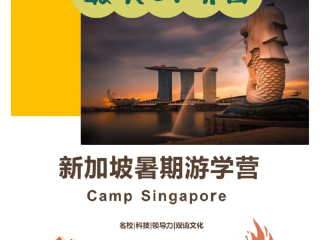 最火的项目,最火项目名称大全