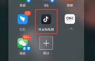 抖音短视频网页版在线看,抖音网页版在线登录观看