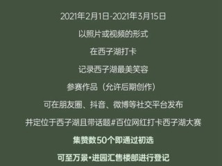 网红大事件百度百科,网红大事件百度百科视频