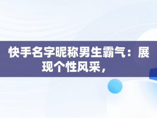 快手名字昵称男生霸气：展现个性风采， 