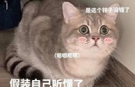 抖音五只猫摇头表情包,五只猫咪摇头表情包怎么添加到微信