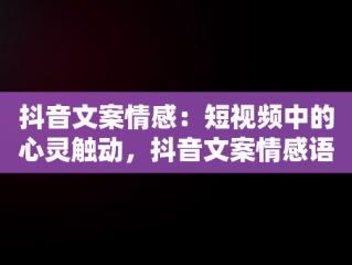 抖音文案情感：短视频中的心灵触动，抖音文案情感语录素材 