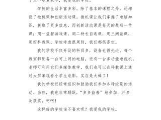 多样的我作文300字三年级下册,多样的我作文700