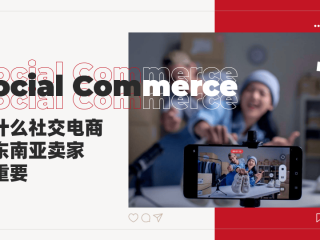 针对东南亚市场的跨境电商平台(针对东南亚市场的跨境电商平台的建议)