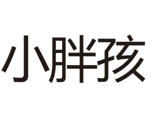 小胖孩视频网红,最近视频很火的小胖孩