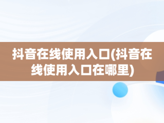 抖音在线使用入口(抖音在线使用入口在哪里)