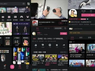 b站观看人数最多的直播(b站直播最高人气是观看人数吗)