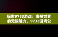 探索9733游戏：虚拟世界的无限魅力，9733游戏公司 