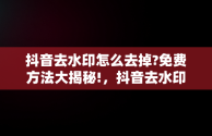 抖音去水印怎么去掉?免费方法大揭秘!，抖音去水印怎么去掉?免费软件 