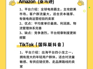 跨境电商哪个平台比较好知乎(跨境电商哪个平台比较好知乎推荐一下)