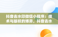 抖音去水印微信小程序：技术与版权的博弈，抖音去水印微信小程序有用吗 