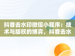 抖音去水印微信小程序：技术与版权的博弈，抖音去水印微信小程序有用吗 