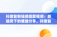 抖音复制链接提取视频：新趋势下的便捷分享，抖音复制链接提取视频的小程序 