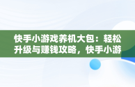 快手小游戏养机大包：轻松升级与赚钱攻略，快手小游戏怎么赚收益 