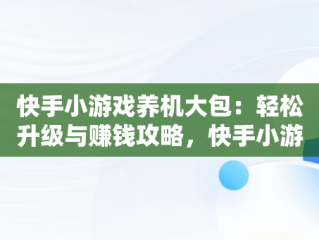 快手小游戏养机大包：轻松升级与赚钱攻略，快手小游戏怎么赚收益 