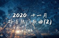 2020抖音最热歌曲排名前十(2020抖音最热歌曲排行榜前十名)