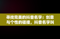 寻找完美的抖音名字：创意与个性的碰撞，抖音名字叫什么好听有寓意 