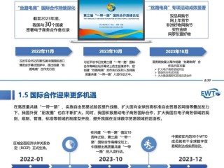 本土化跨境电商是啥意思(本土化概念对应着什么概念)