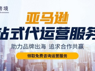 艾杰美跨境电商代运营(艾杰美跨境电商的销售好做吗)