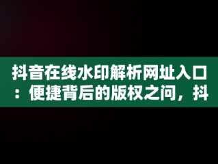 抖音在线水印解析网址入口：便捷背后的版权之问，抖音短视频水印解析在线 