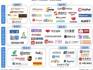 关于亚马逊跨境电商案例分析的信息