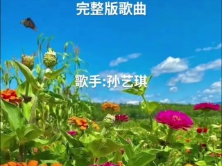 抖音最火歌曲2025(抖音最火歌曲巜你是我的酒家)