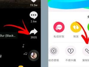 抖音下载无水印视频插件,抖音下载无水印视频插件安装