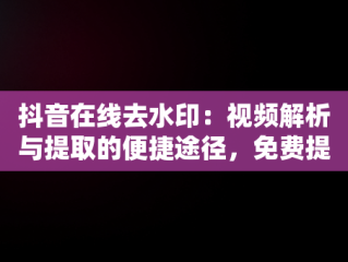 抖音在线去水印：视频解析与提取的便捷途径，免费提取视频无水印解析 