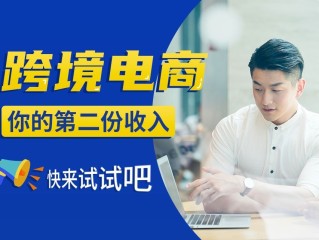 亚马逊跨境电商平台个人开店,亚马逊跨境电商平台个人开店要求