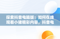 探索抖音电脑版：如何在线观看小猪精彩内容，抖音电脑版在线使用 